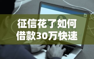 征信花了如何借款30万快速到账
