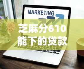 芝麻分610能下的贷款口子大全