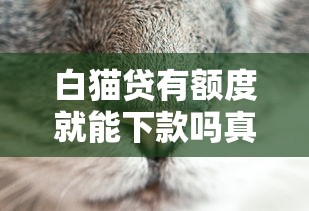 白猫贷有额度就能下款吗真相解析