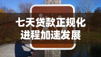 七天贷款正规化进程加速发展