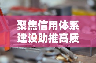 聚焦信用体系建设助推高质量发展