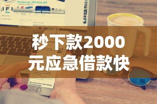 秒下款2000元应急借款快速到账