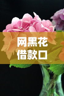 网黑花借款口子黑花了怎么办