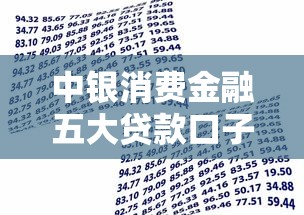 中银消费金融五大贷款口子解析