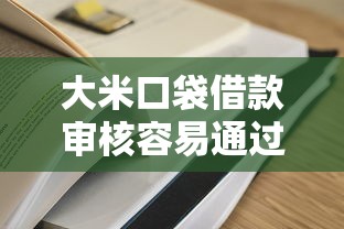 大米口袋借款审核容易通过吗
