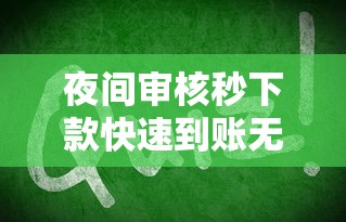 夜间审核秒下款快速到账无等待