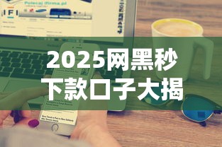 2025网黑秒下款口子大揭秘