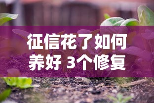 征信花了如何养好 3个修复技巧