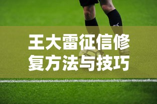 王大雷征信修复方法与技巧指南
