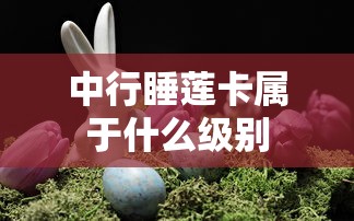 中行睡莲卡属于什么级别