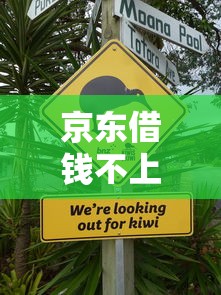 京东借钱不上征信的3种特殊情况