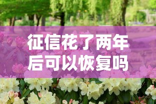 征信花了两年后可以恢复吗