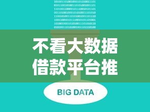 不看大数据借款平台推荐