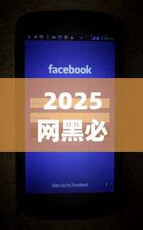 2025网黑必下款口子百分百放款