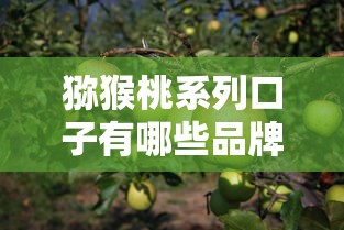 猕猴桃系列口子有哪些品牌推荐