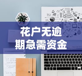花户无逾期急需资金周转攻略