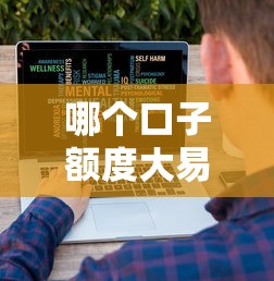 哪个口子额度大易降快速了解 哪个口子额度大易降快速了解