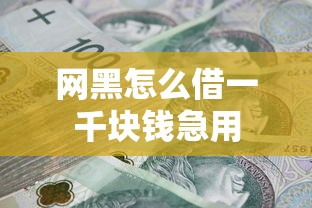 网黑怎么借一千块钱急用 网黑怎么借一千块钱急用