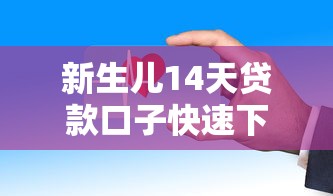 新生儿14天贷款口子快速下款攻略