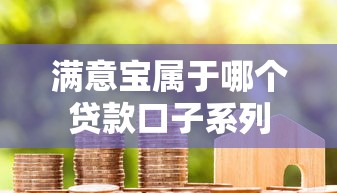 满意宝属于哪个贷款口子系列