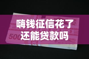嗨钱征信花了还能贷款吗
