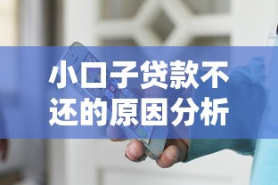 小口子贷款不还的原因分析