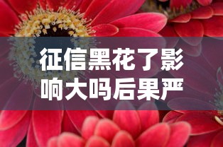 征信黑花了影响大吗后果严重吗