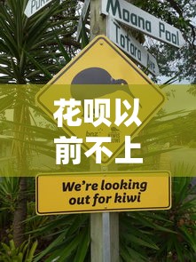 花呗以前不上征信现在会上吗