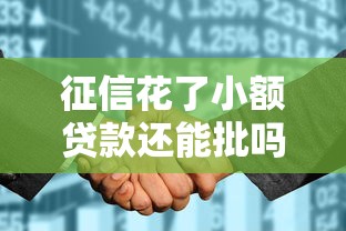 征信花了小额贷款还能批吗