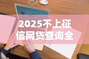 2025不上征信网贷查询全攻略