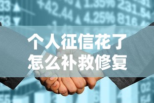 个人征信花了怎么补救修复
