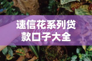 速信花系列贷款口子大全