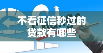 不看征信秒过的贷款有哪些