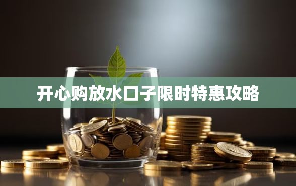 开心购放水口子限时特惠攻略