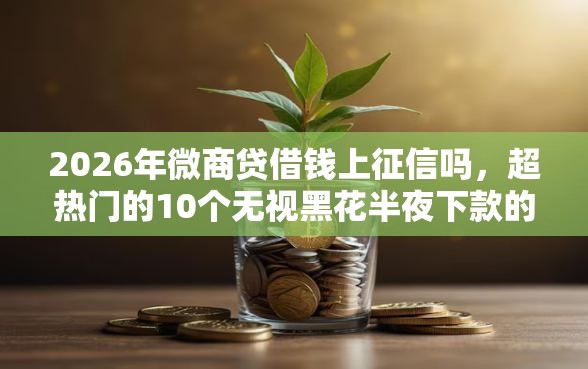 2026年微商贷借钱上征信吗，超热门的10个无视黑花半夜下款的网贷软件推荐