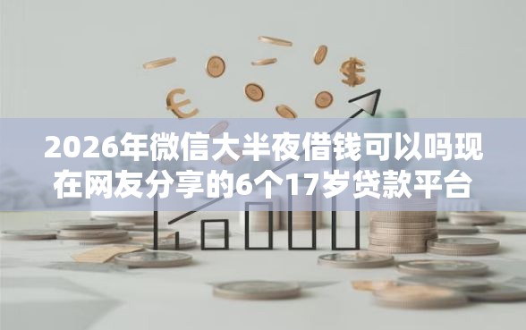 2026年微信大半夜借钱可以吗现在网友分享的6个17岁贷款平台秒到账我觉得不错！