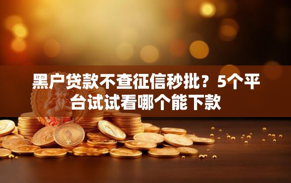 黑户贷款不查征信秒批？5个平台试试看哪个能下款