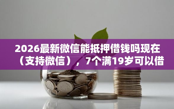 2026最新微信能抵押借钱吗现在（支持微信），7个满19岁可以借款的平台无私分享
