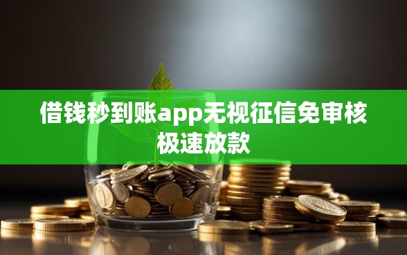借钱秒到账app无视征信免审核极速放款