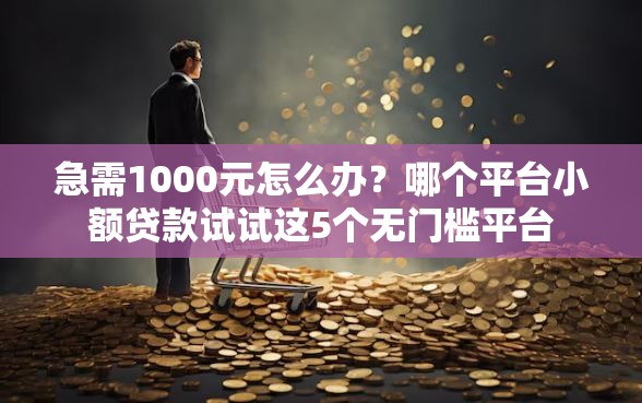 急需1000元怎么办？哪个平台小额贷款试试这5个无门槛平台
