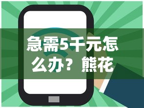 急需5千元怎么办？熊花花借款好下款吗试试这6个无门槛平台