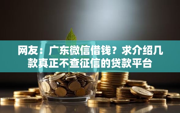 网友：广东微信借钱？求介绍几款真正不查征信的贷款平台