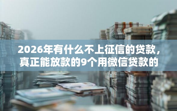 2026年有什么不上征信的贷款，真正能放款的9个用微信贷款的平台推荐