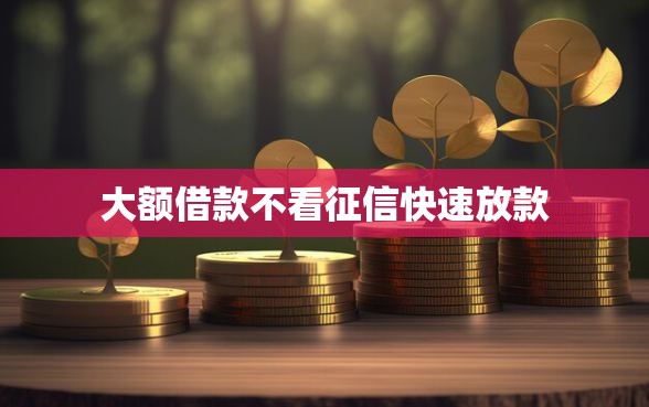 大额借款不看征信快速放款