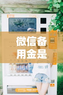 微信备用金是什么样？2026最新测评10个高炮必下的新口子