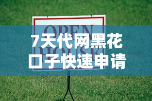 7天代网黑花口子快速申请攻略