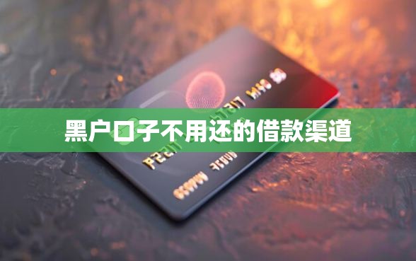 黑户口子不用还的借款渠道