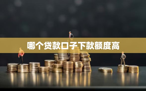 哪个贷款口子下款额度高