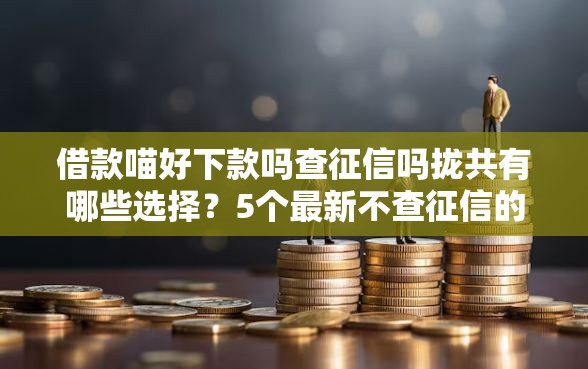借款喵好下款吗查征信吗拢共有哪些选择？5个最新不查征信的口子详解