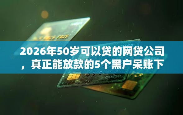 2026年50岁可以贷的网贷公司，真正能放款的5个黑户呆账下款口子推荐